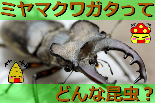 Thumbnail of post image 101